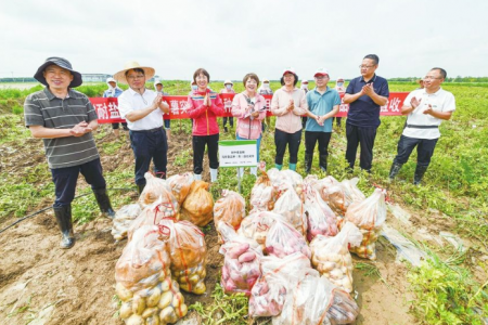 2022年5月馬鈴薯出口數據分析 ()