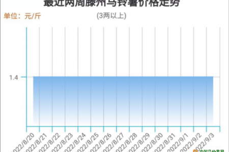 薯市行情為何跌跌不休？ ()