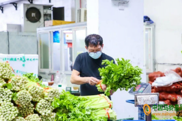 寧波：臺風來了菜價穩定 ()
