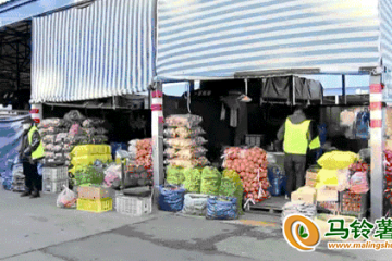 哈爾濱：蔬菜品種價格穩定 ()