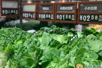重慶： 蔬菜價格集體“跳水” ()