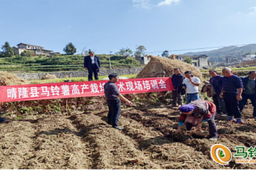晴隆舉行馬鈴薯高產栽培技術培訓會 ()