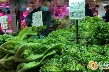 廣州：本地蔬菜價格“親民” ()