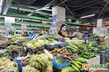 宿遷：冬季鮮菜價格回落 ()