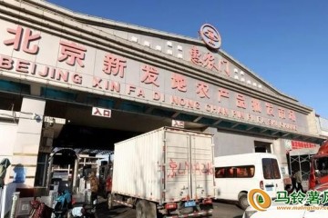 新發地：蔬菜價格周環比小幅上漲 ()