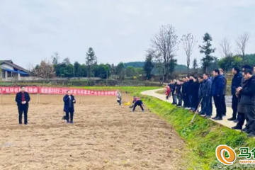 甕安縣：舉行冬季馬鈴薯種植技術現場會 ()