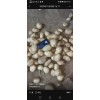 榆林高端V7出庫中
