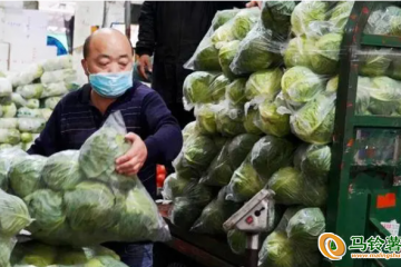 南京：蔬菜供應貨足價穩 ()