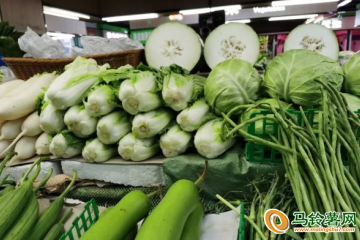 江蘇：寒潮來襲 菜價穩定 ()