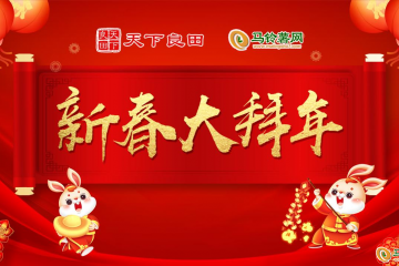 馬鈴薯網恭賀新春 ()