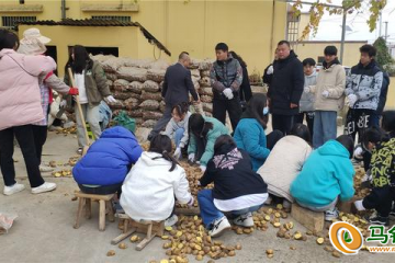 清鎮市：開展馬鈴薯播種工作 ()