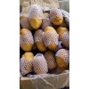 大量供應優質土豆品種齊全！常年供應！