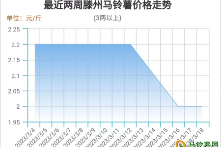 供應壓力減弱 薯市將現轉機 ()
