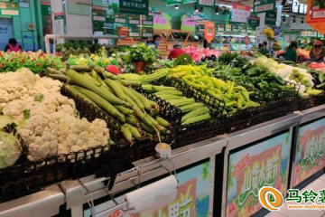 西安：蔬菜類價格穩中略降 ()