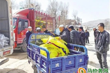 東鄉縣：積極助力馬鈴薯春播 ()