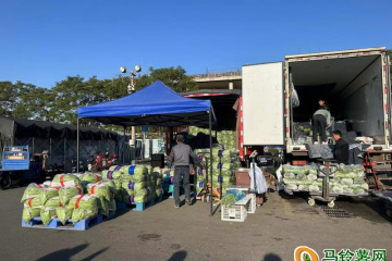 北京新發地：節前蔬菜供應量足價穩 ()