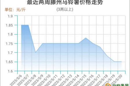 薯價高位滑落 反彈機會大嗎？ ()