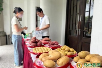 一帶一路”國際馬鈴薯產業發展合作論壇召開 ()