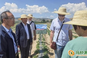 中俄專家共促馬鈴薯產業健康發展 ()