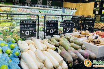 青海大通：馬鈴薯助農增收 ()