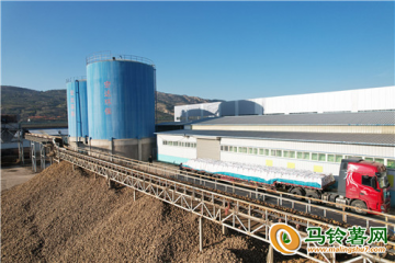 馬鈴薯全鏈條生產 促進現代農業高效發展 ()