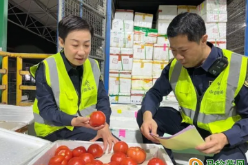 東莞海關：春節期間助力超4000噸新鮮蔬菜安全供港 ()