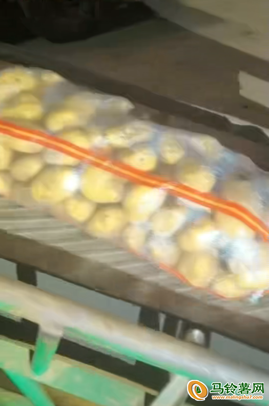 希森六土豆繼續裝車 ()